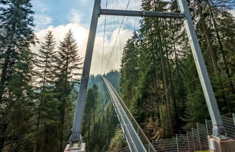 Wildline Bad Wildbad