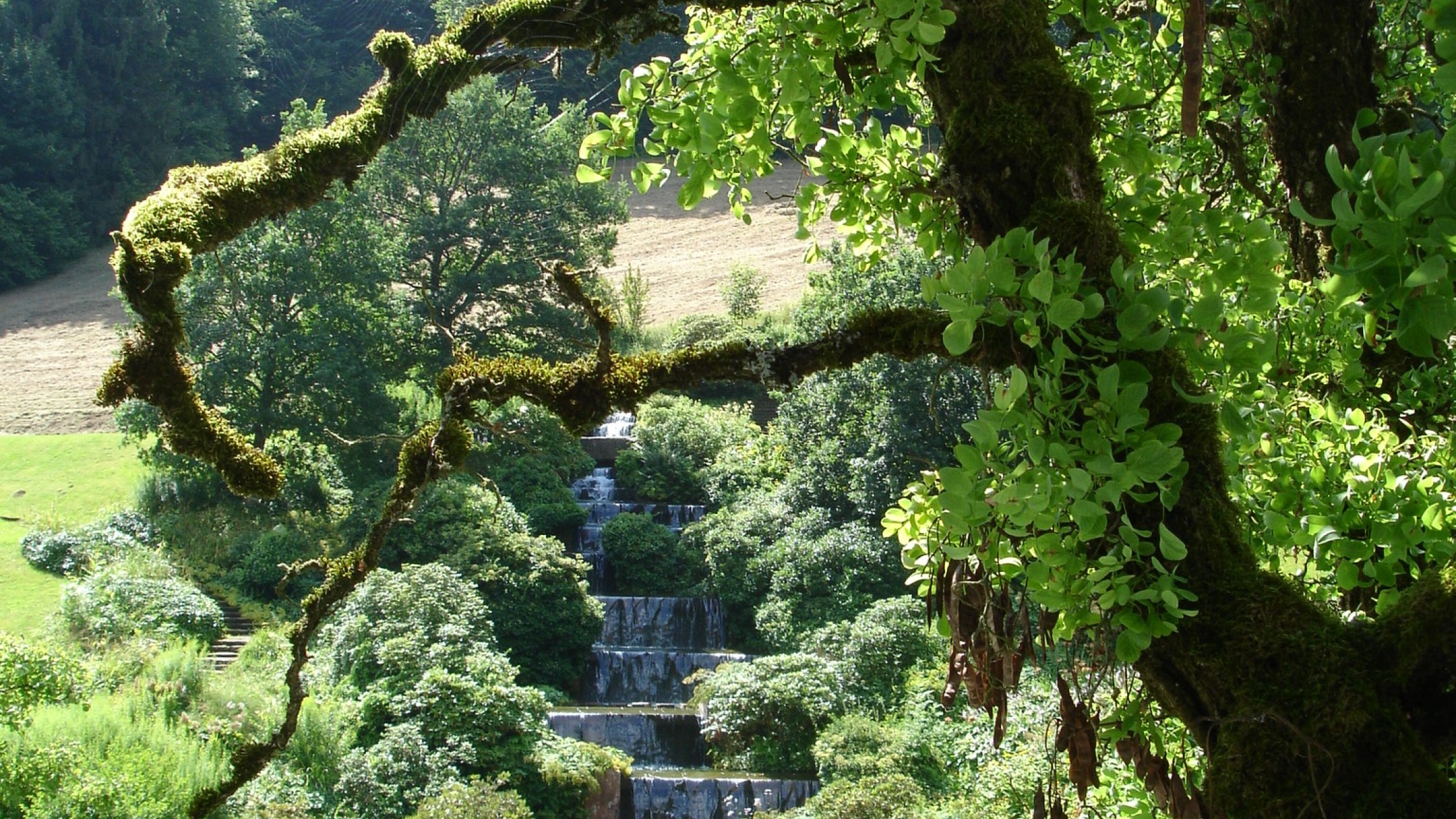 Wasserfall im Hotelpark umrahmt von grünen Bäumen