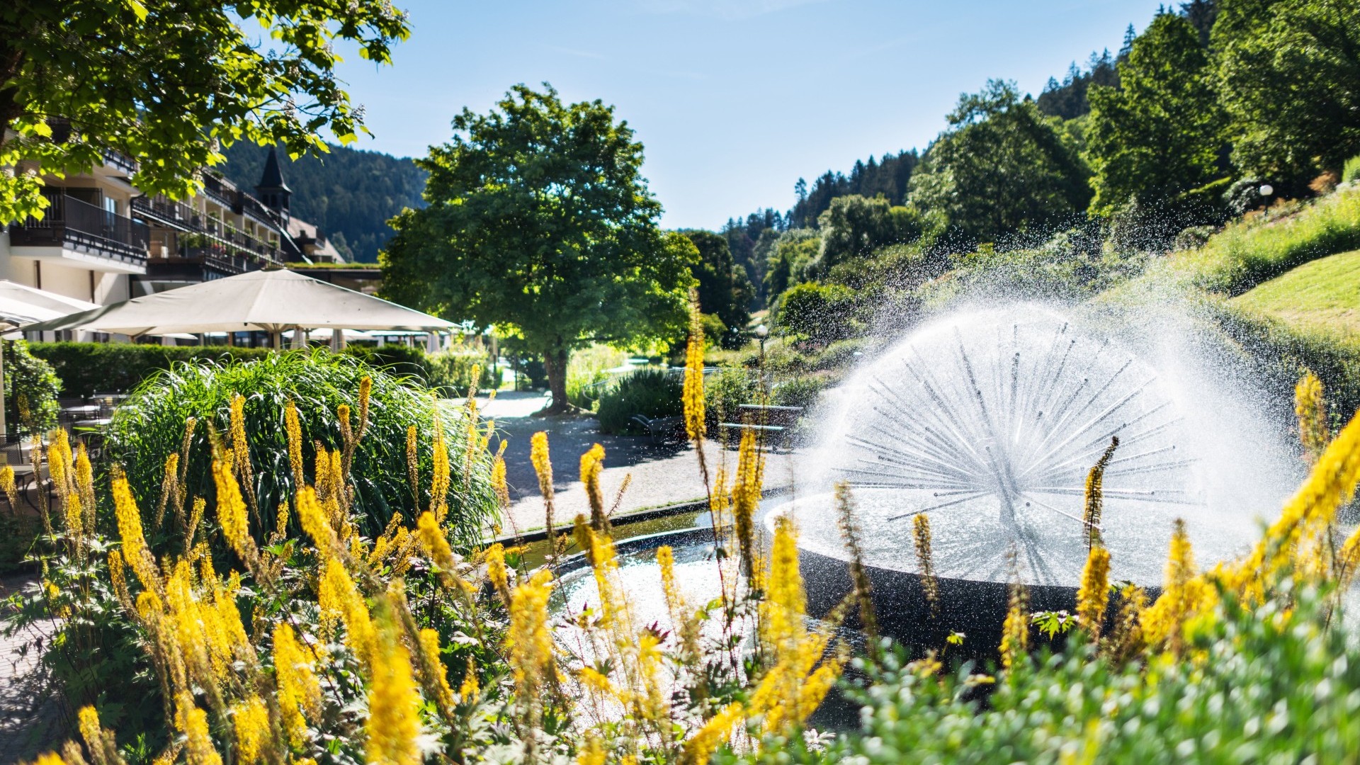 Brunnen und blühender Garten am Wellnesshotel Therme Bad Teinach im Sommer