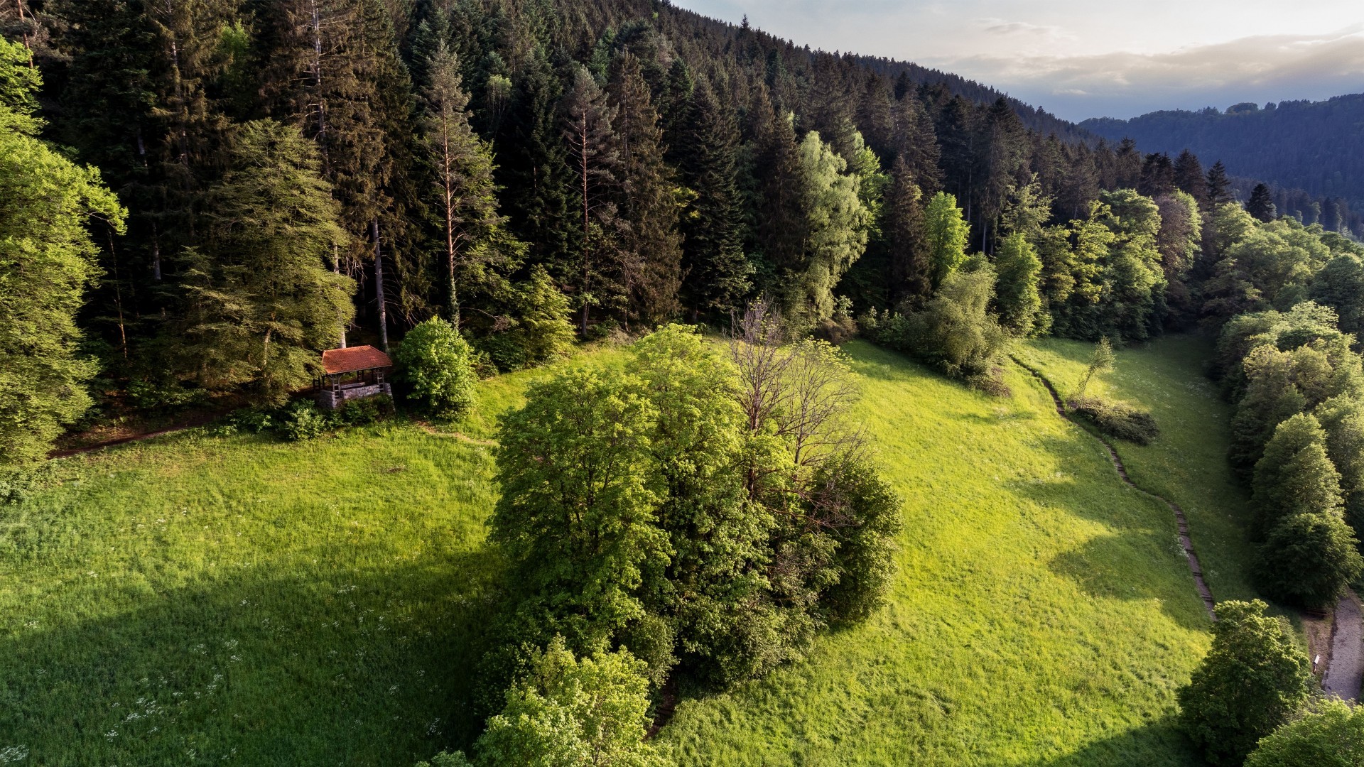 Landschaft5