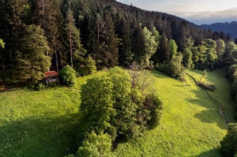 Grüne Wanderlandschaft im Nordschwarzwald mit Waldhütte und idyllischem Wiesenpfad