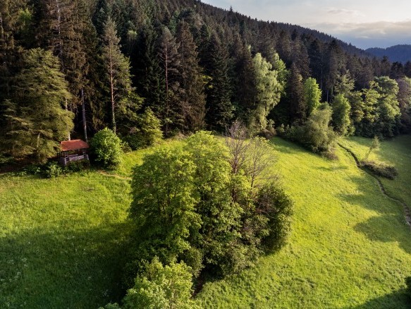 Grüne Wanderlandschaft im Nordschwarzwald mit Waldhütte und idyllischem Wiesenpfad