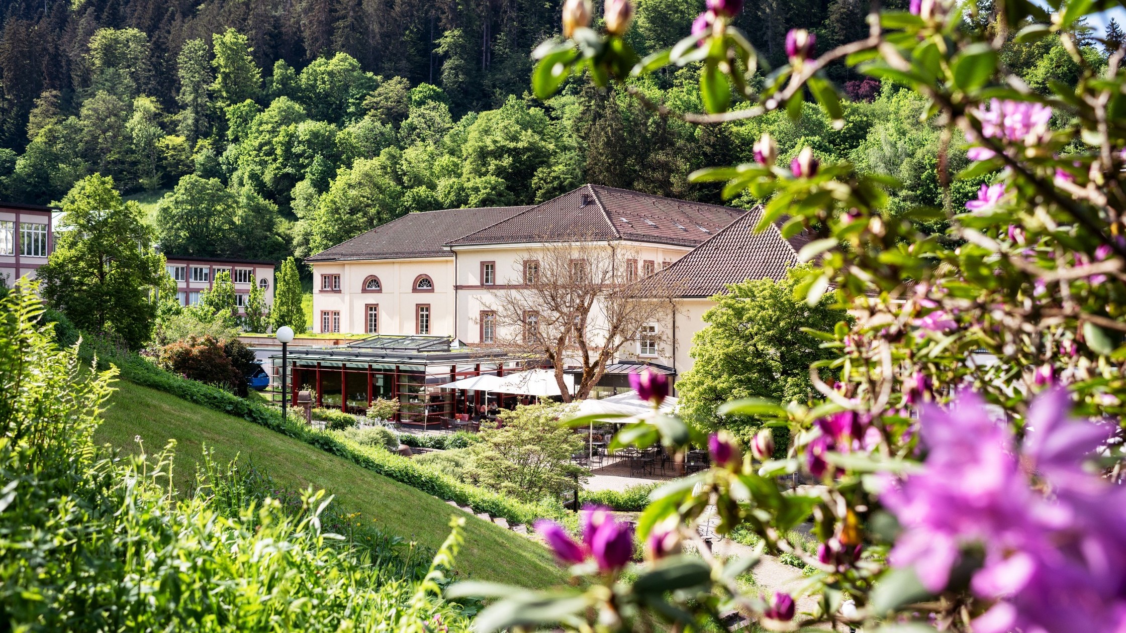 Historisches Gebäude umgeben von blühenden Rhododendren in Bad Teinach
