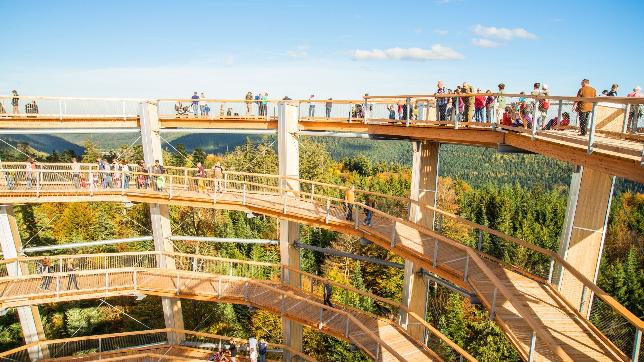 Baumwipfelpfad2_Quelle_Baumwipfelpfad_Schwarzwald