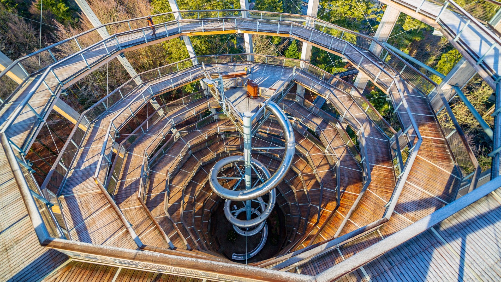 Baumwipfelpfad Bad Wildbad mit spiralförmigem Holzsteg