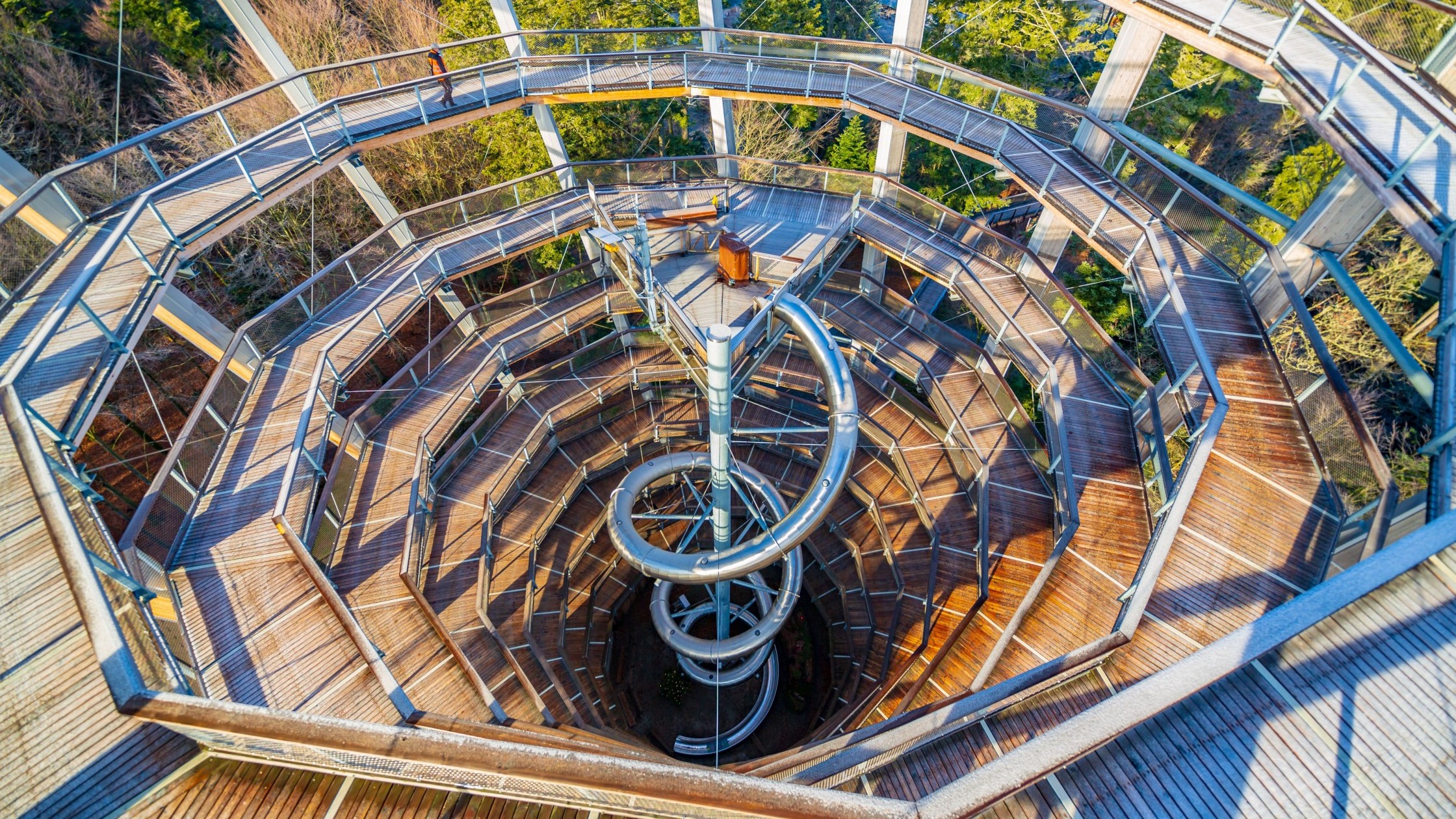 Baumwipfelpfad Bad Wildbad mit spiralförmigem Holzsteg