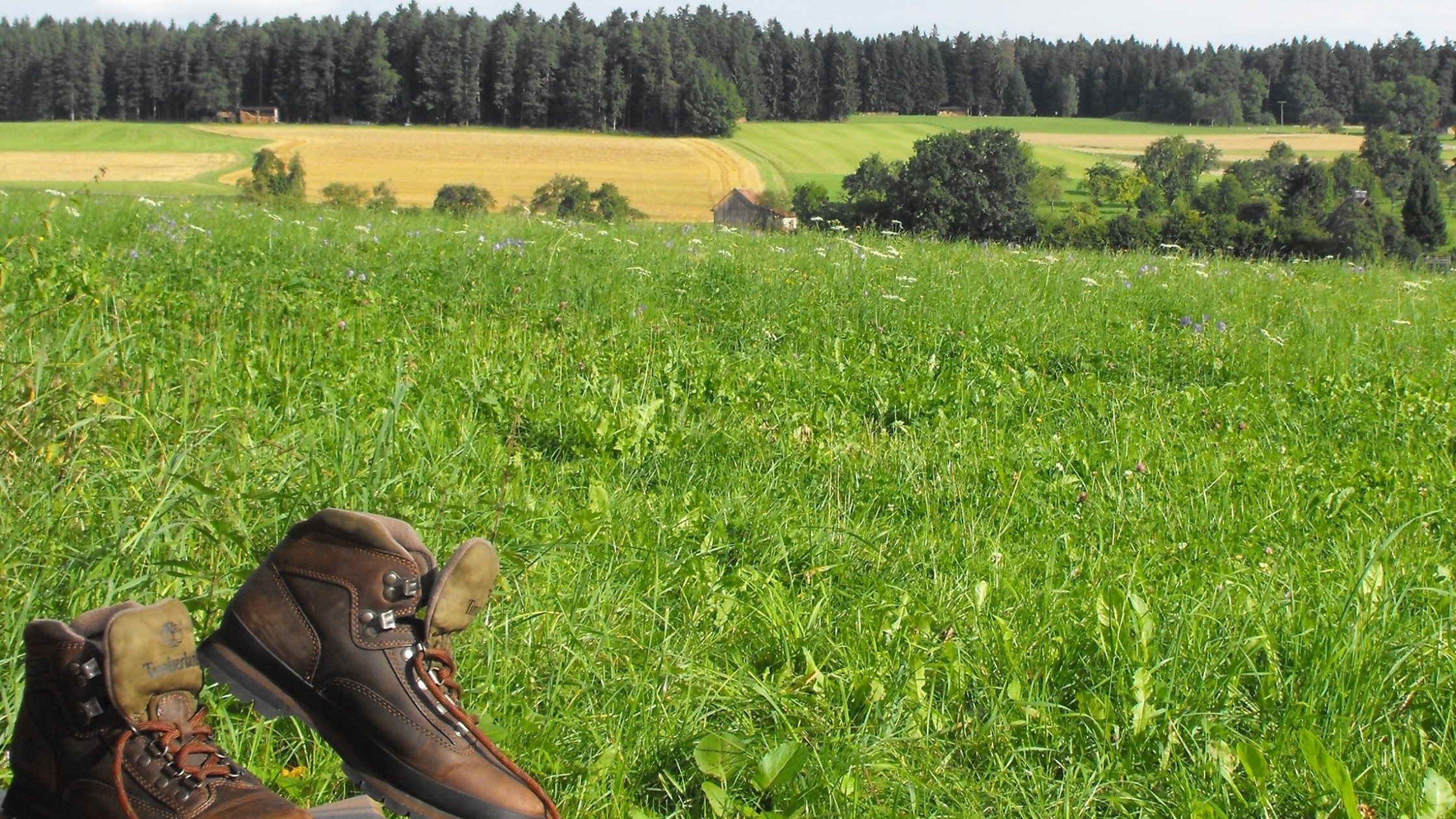 Oberkollwangen_Bank_Schuhe_geschnitten