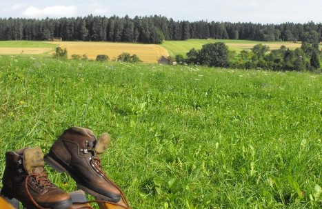 Oberkollwangen_Bank_Schuhe_geschnitten