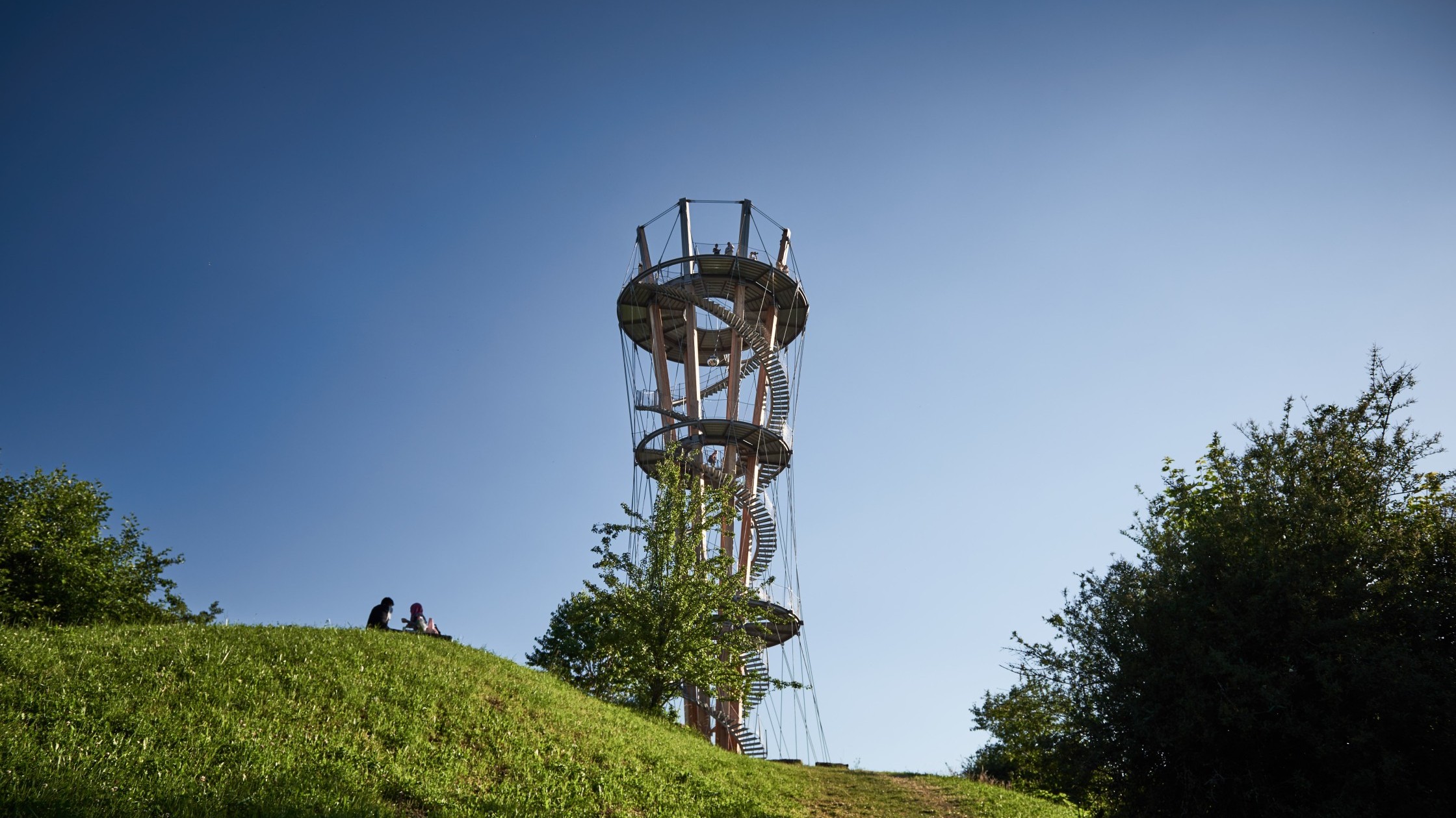 Schönbuchturm mit Panoramablick in der Natur"