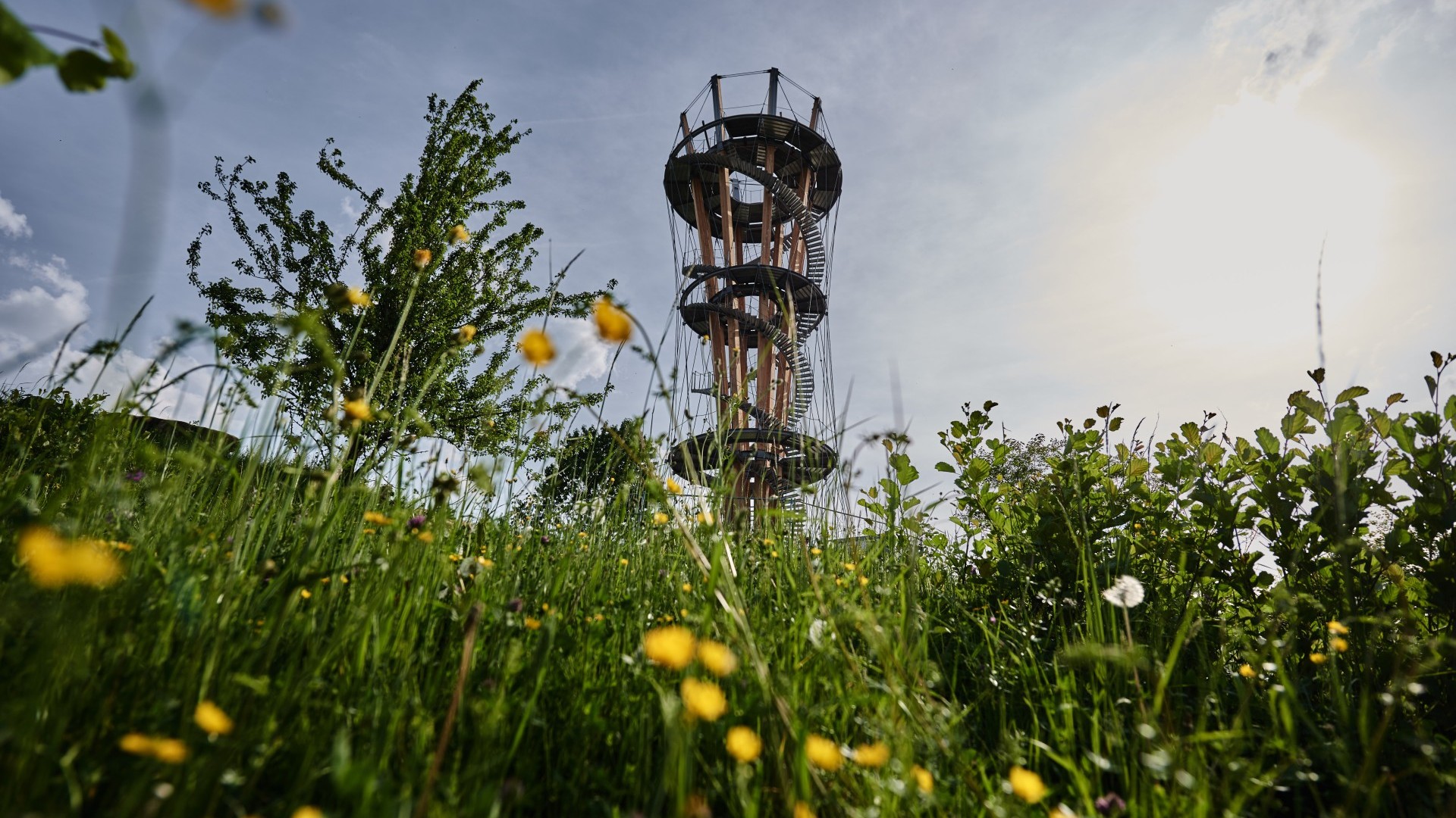 Schönbuchturm mit Panoramablick über die Wiese