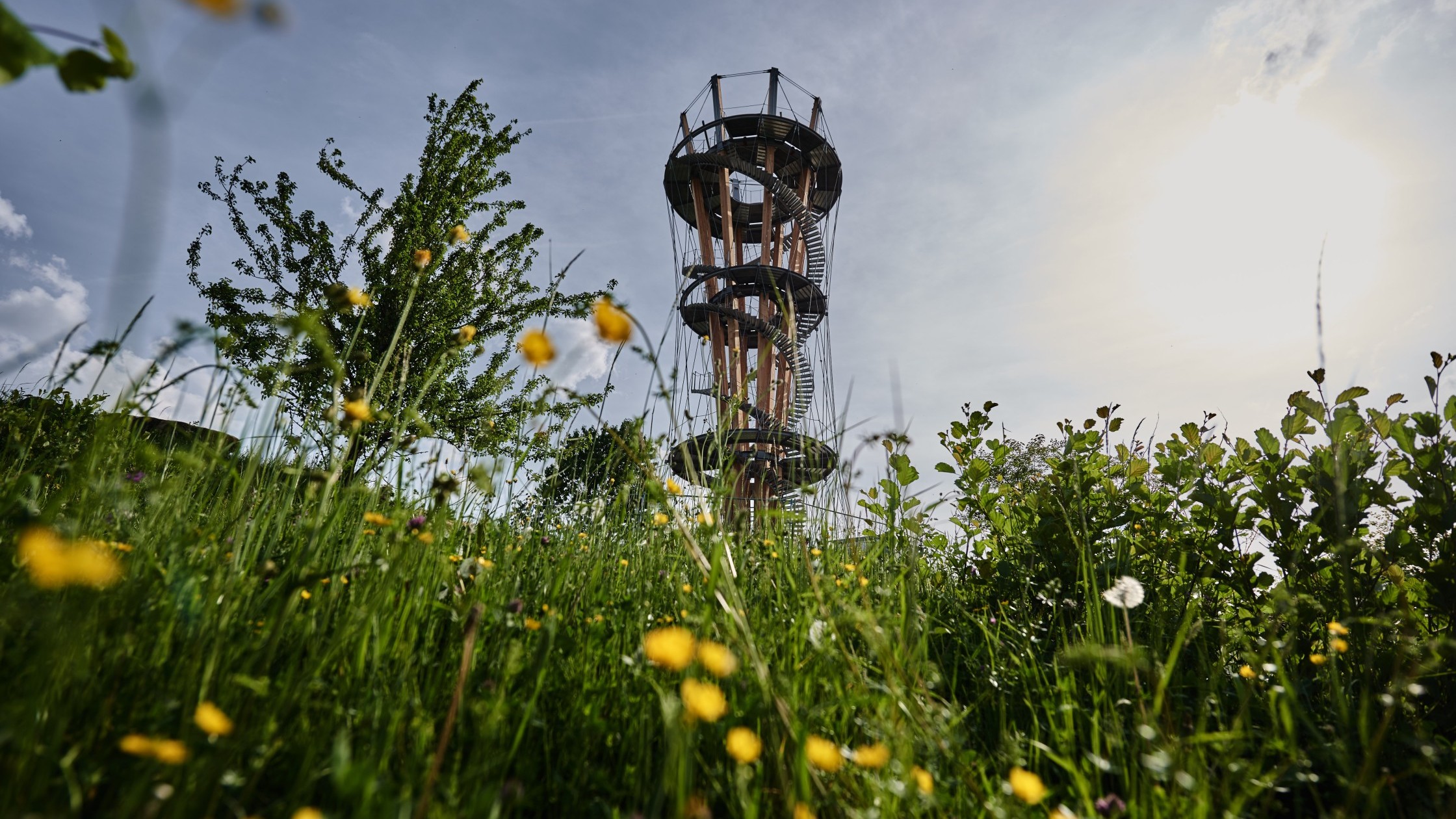 Schönbuchturm mit Panoramablick über die Wiese