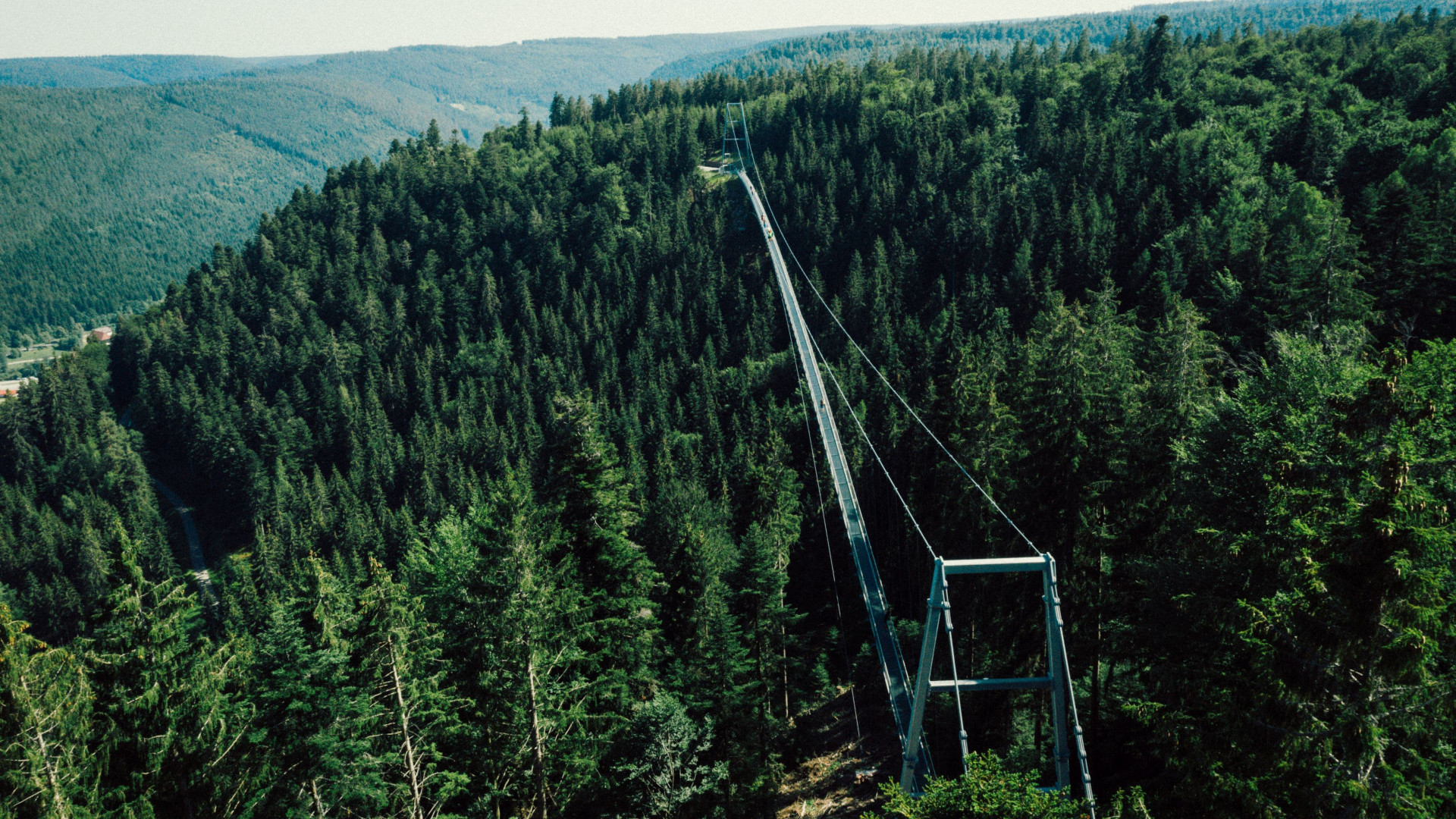 wildline1quellewildlinebadwildbadgmbhcokg-2