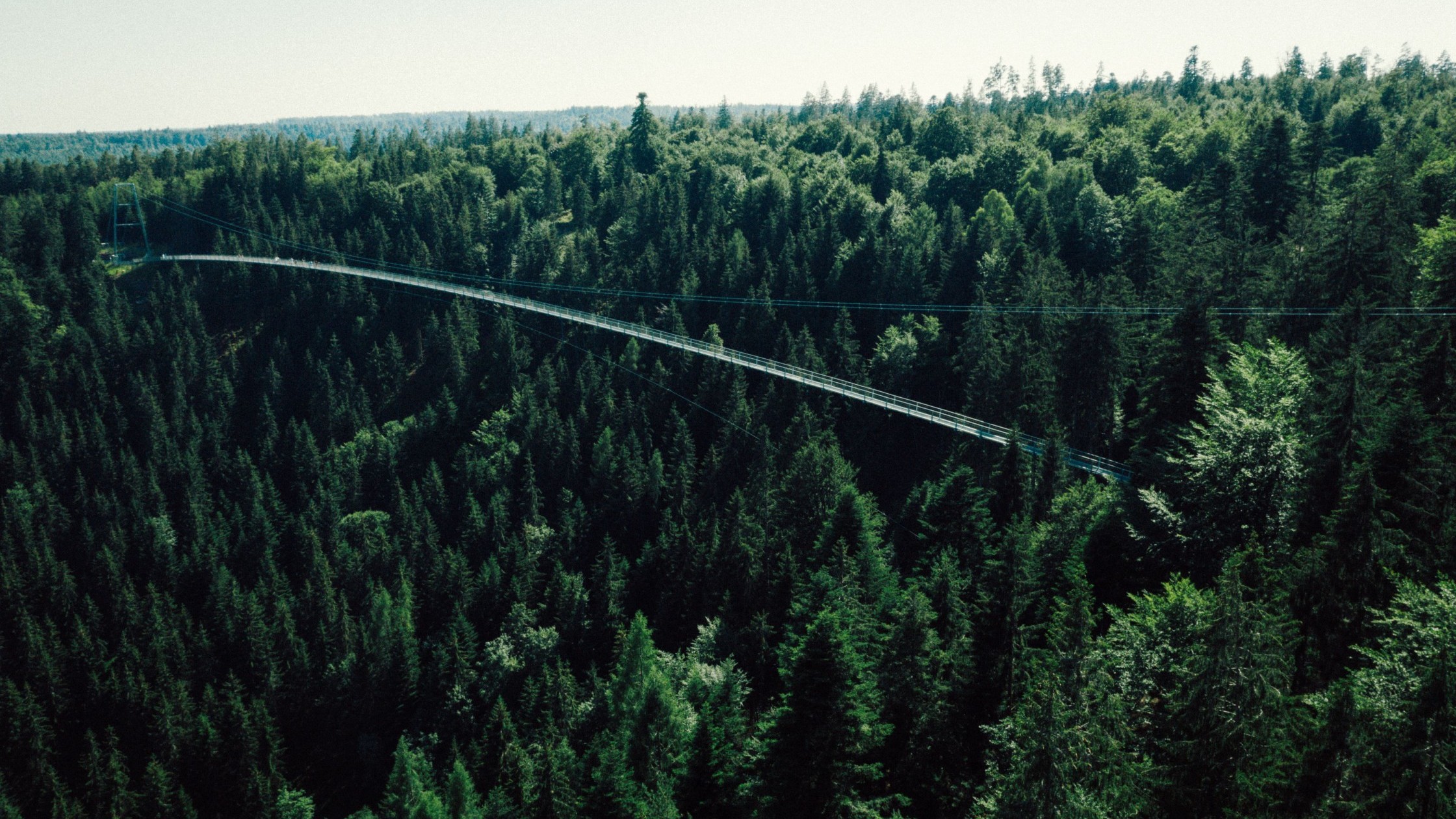 wildline2quellewildlinebadwildbadgmbhcokg-2