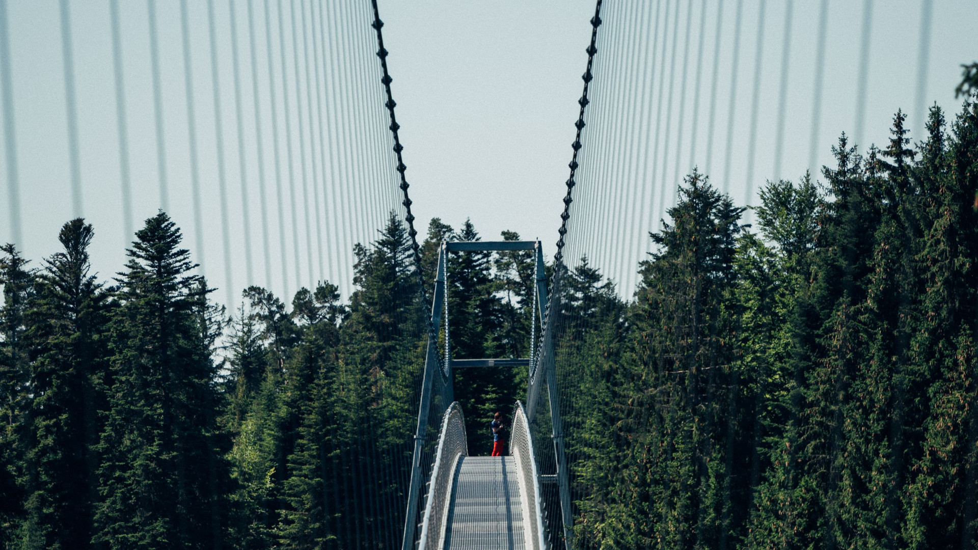 wildline3quellewildlinebadwildbadgmbhcokg2