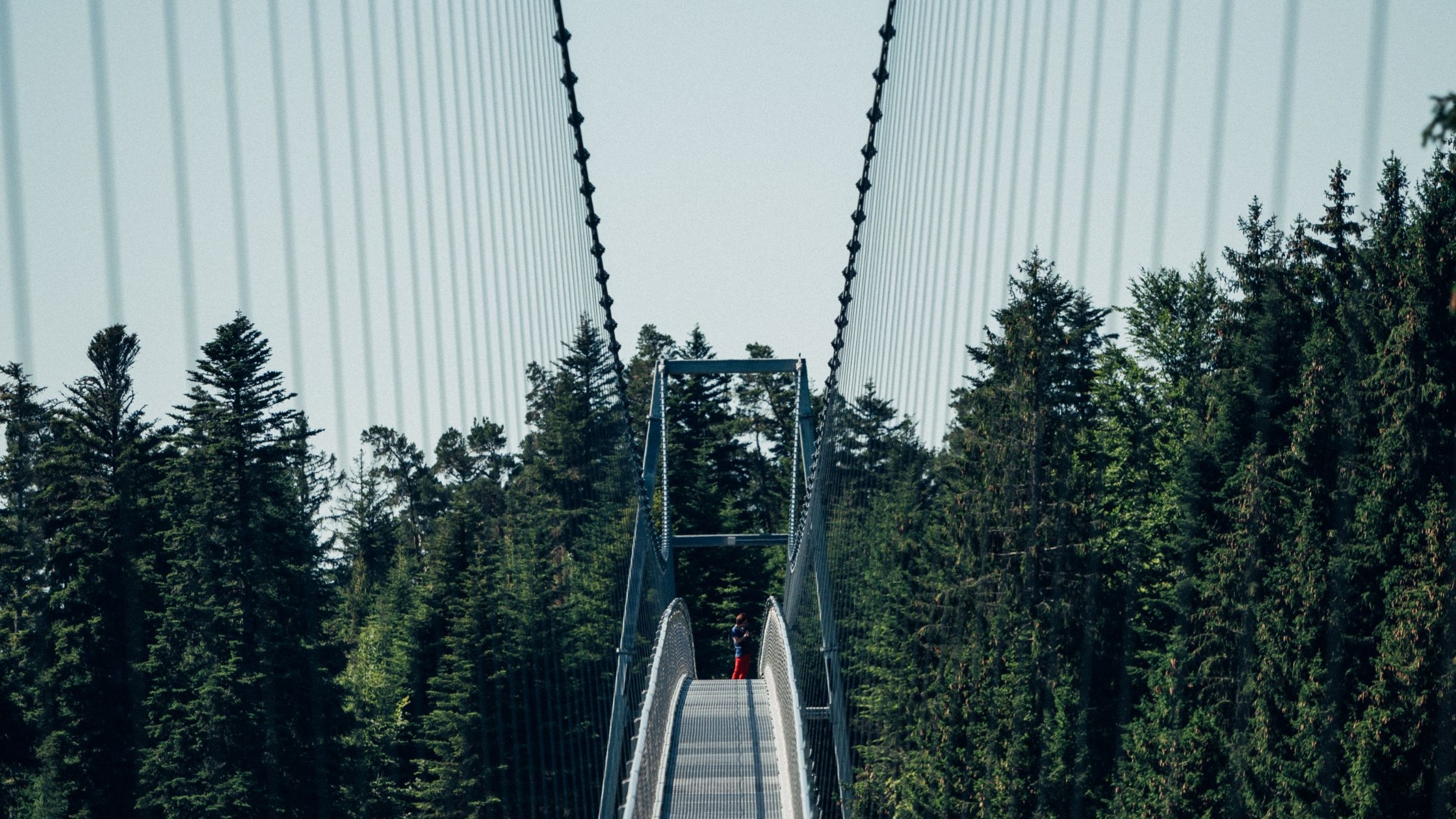 wildline3quellewildlinebadwildbadgmbhcokg2