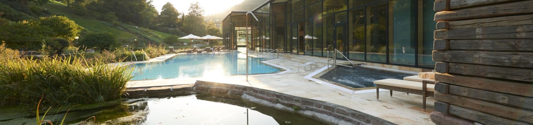 Außenpool des Wellnessbereichs mit Blick auf Naturteich und sonnige Schwarzwaldlandschaft