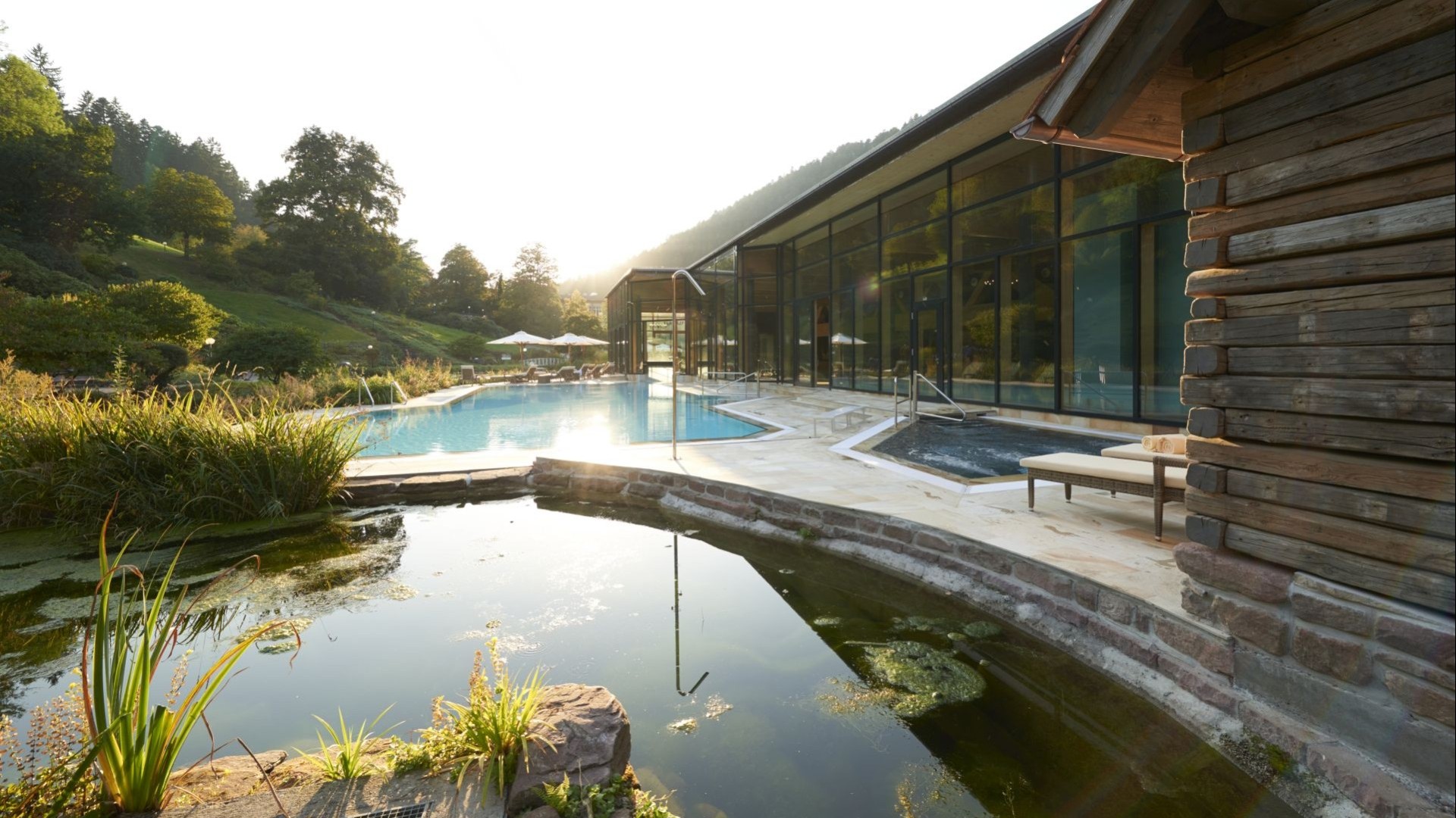 Außenpool des Wellnessbereichs mit Blick auf Naturteich und sonnige Schwarzwaldlandschaft