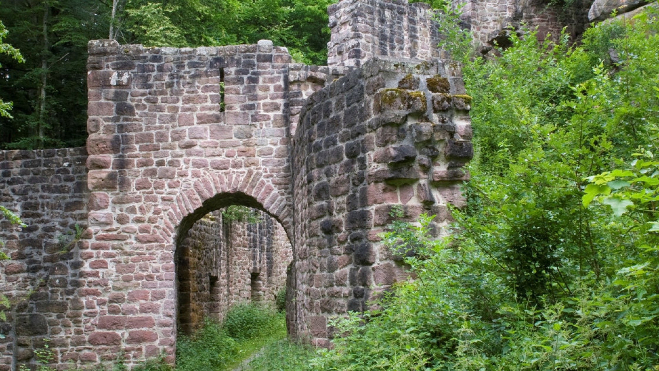 Alte Burgruine mit Sandsteinmauern im Wald der Wanderregion Nordschwarzwald