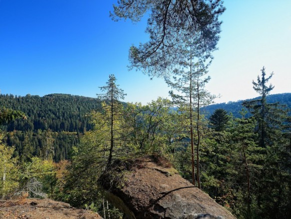 Aussichtspunkt im Nordschwarzwald mit Felsen und dichtem Waldpanorama