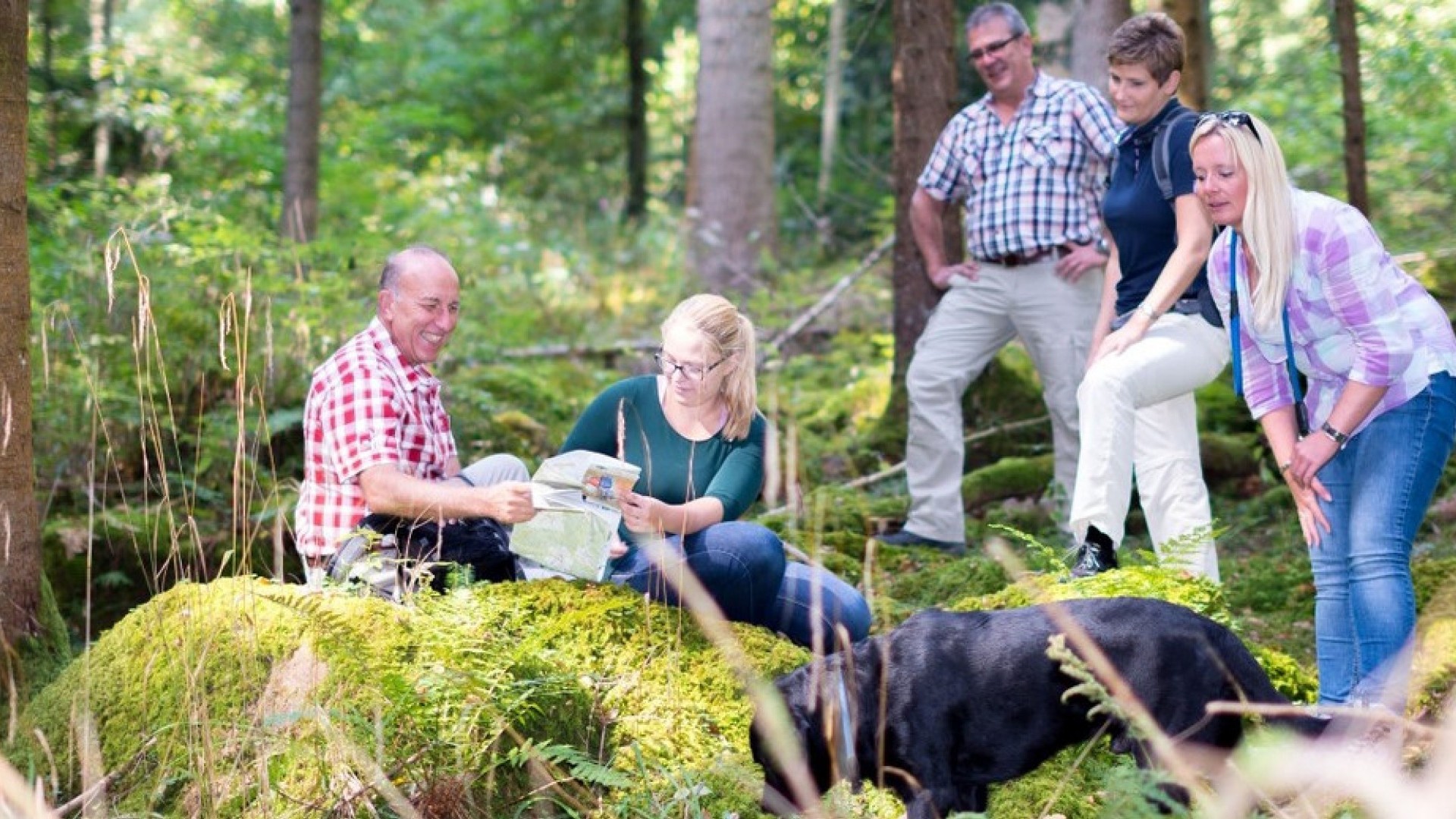 csm_Banner_Wandern_a061ab88df