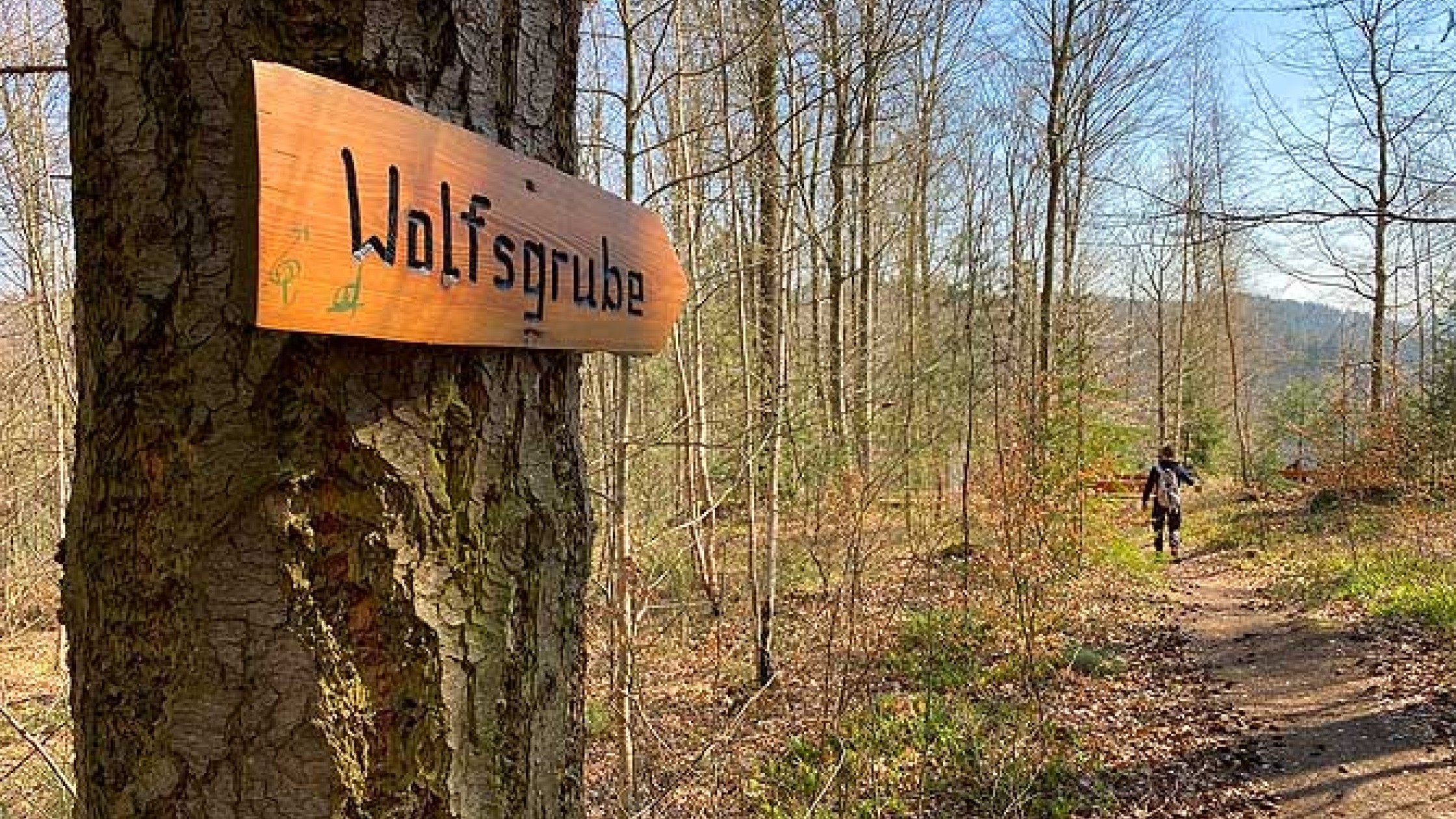 Holzschild Wolfsgrube am Baumstamm auf Wanderweg im Teinachtal
