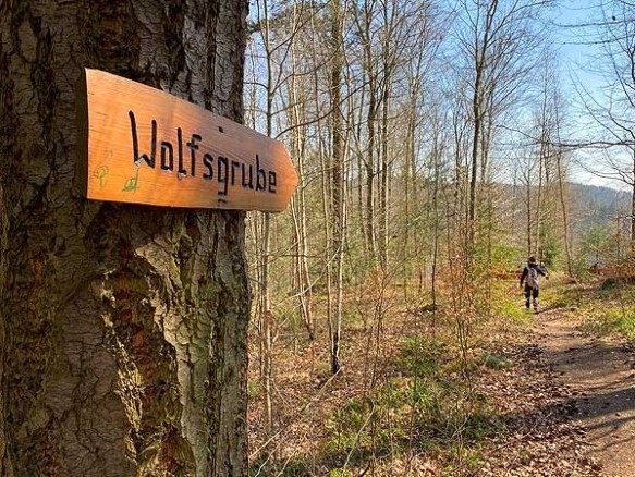 Holzschild Wolfsgrube am Baumstamm auf Wanderweg im Teinachtal
