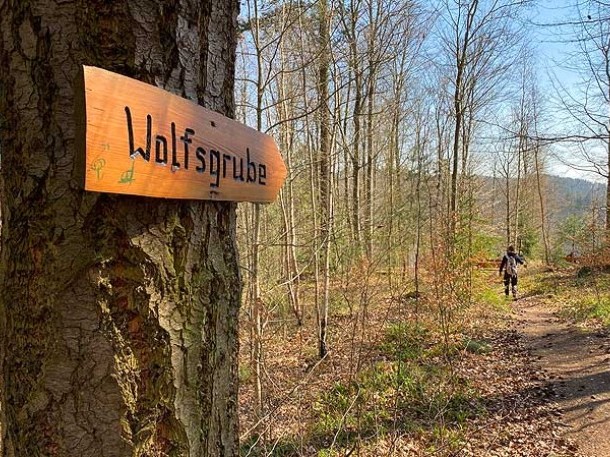Holzschild Wolfsgrube am Baumstamm auf Wanderweg im Teinachtal