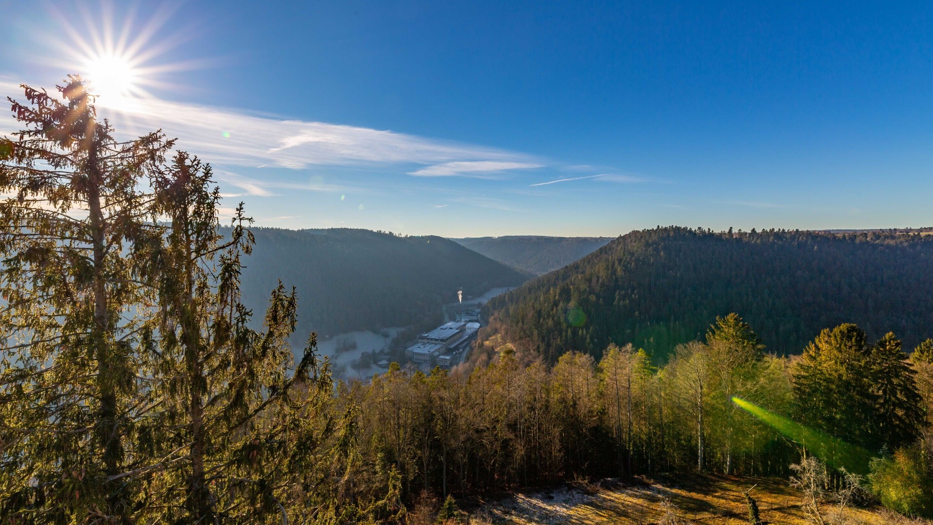 Sonniger Panoramablick über bewaldete Hügel im Nordschwarzwald