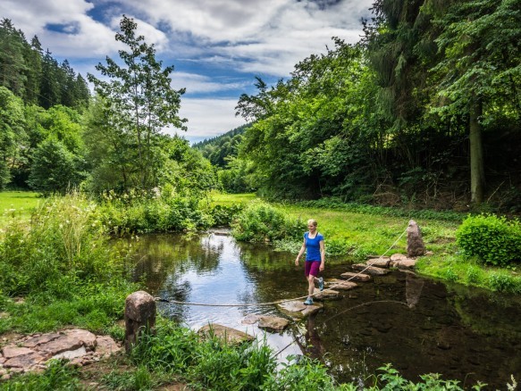 Wanderin überquert einen Bach auf Trittsteinen in der grünen Natur des Nordscharzwalds