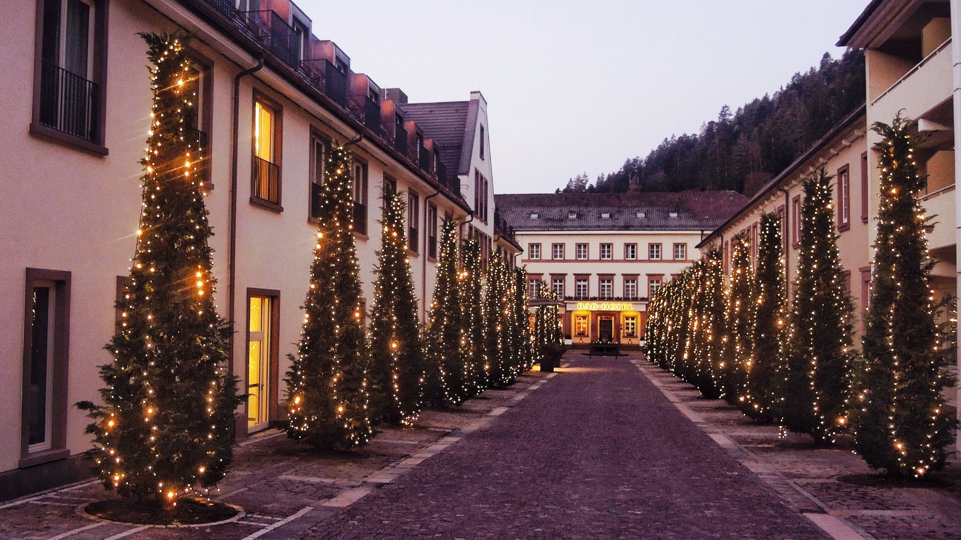 Weihnachtsbeleuchtete Allee im Kurort Bad Teinach