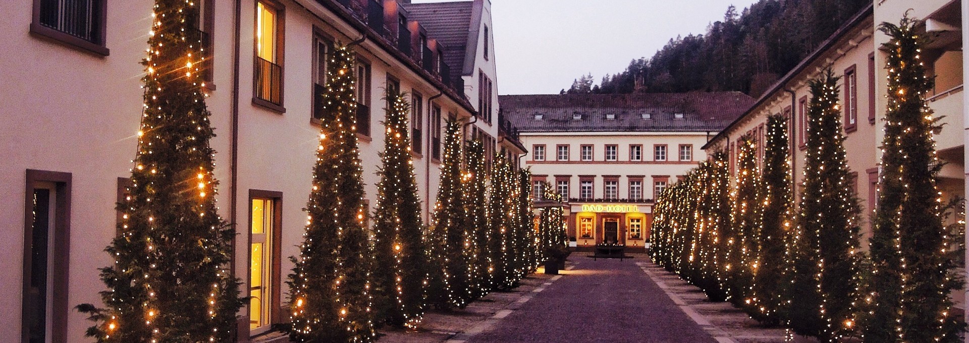 Weihnachtsbeleuchtete Allee im Kurort Bad Teinach